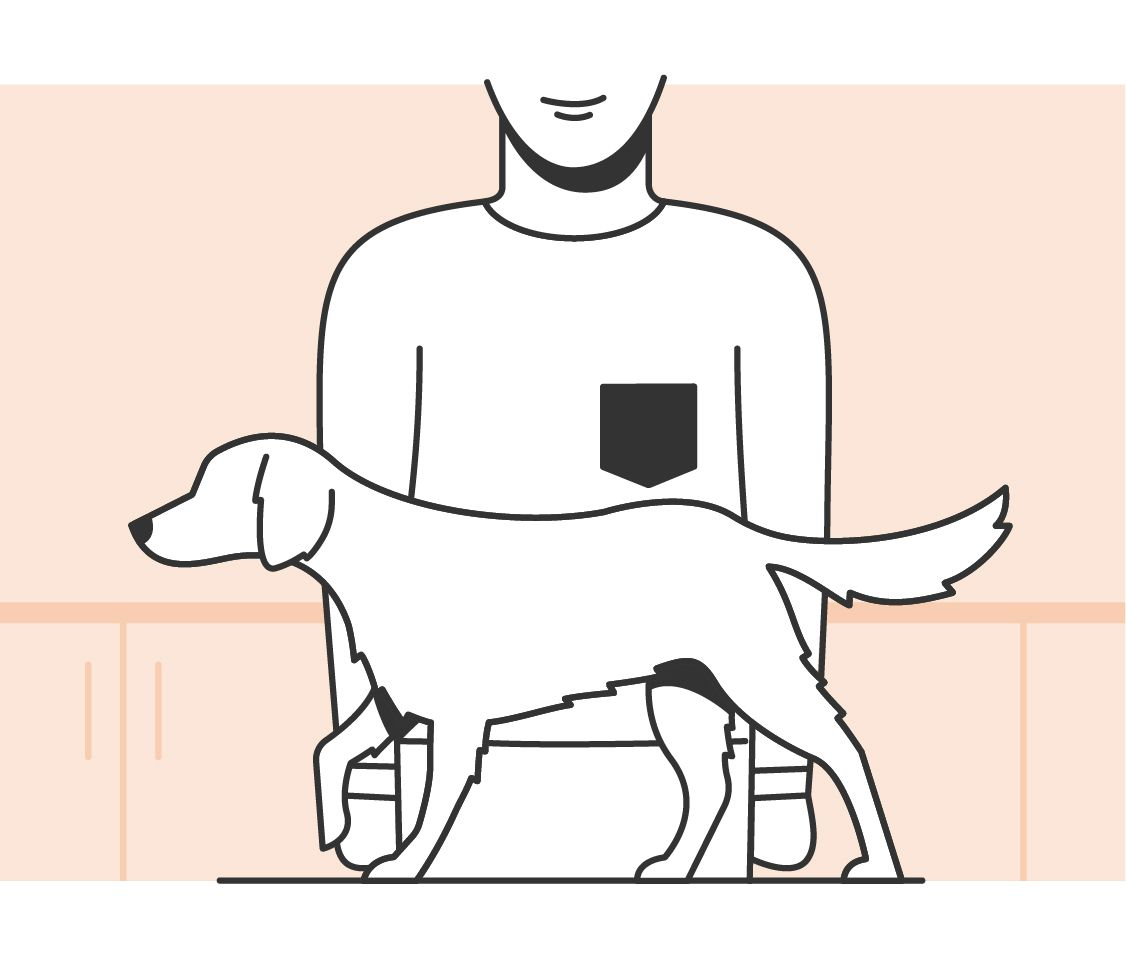 Illustration of a dog body condition assessment