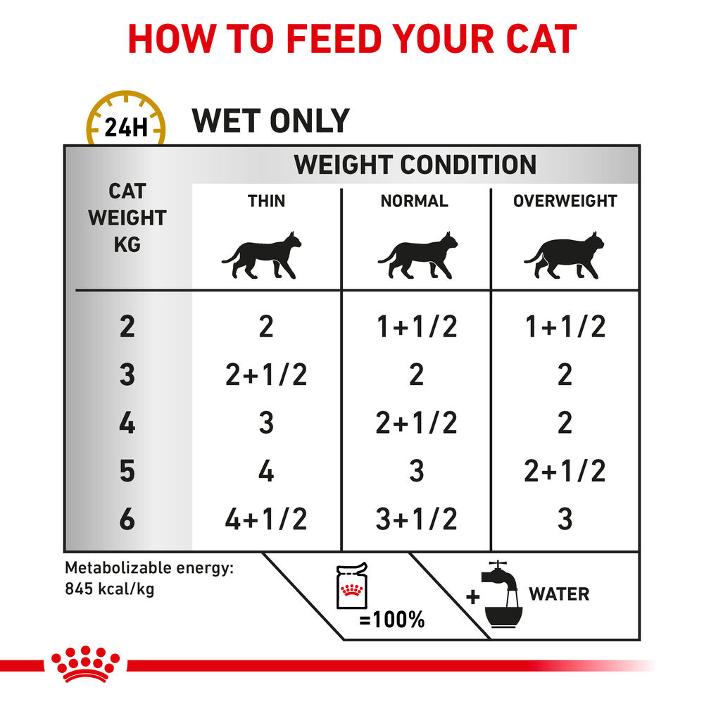 Urinary S O Loaf Royal Canin UK