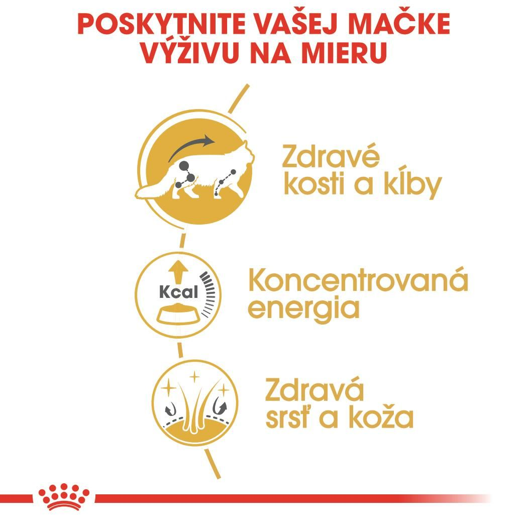 MAINE COON kúsky v šťave