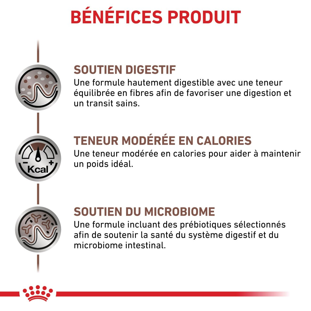 Gastrointestinal Moderate Calorie 