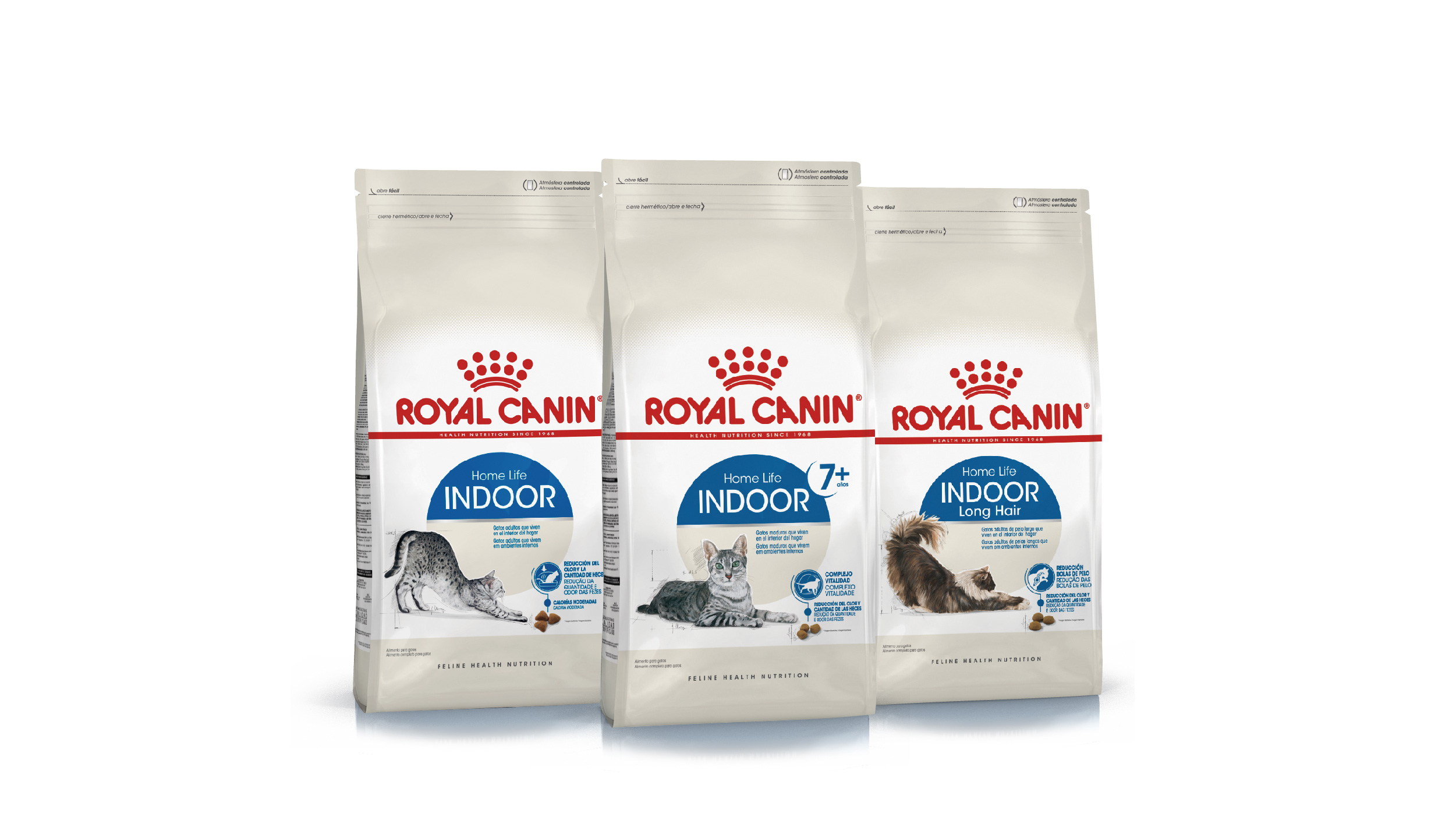 Productos para gatos de interior