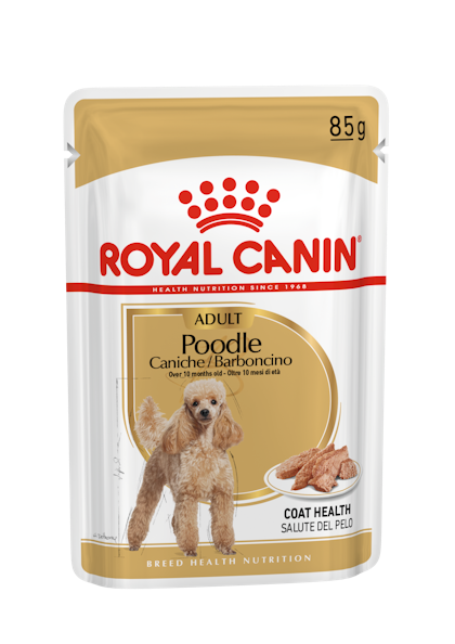 Caniche Mousse Humide Royal Canin