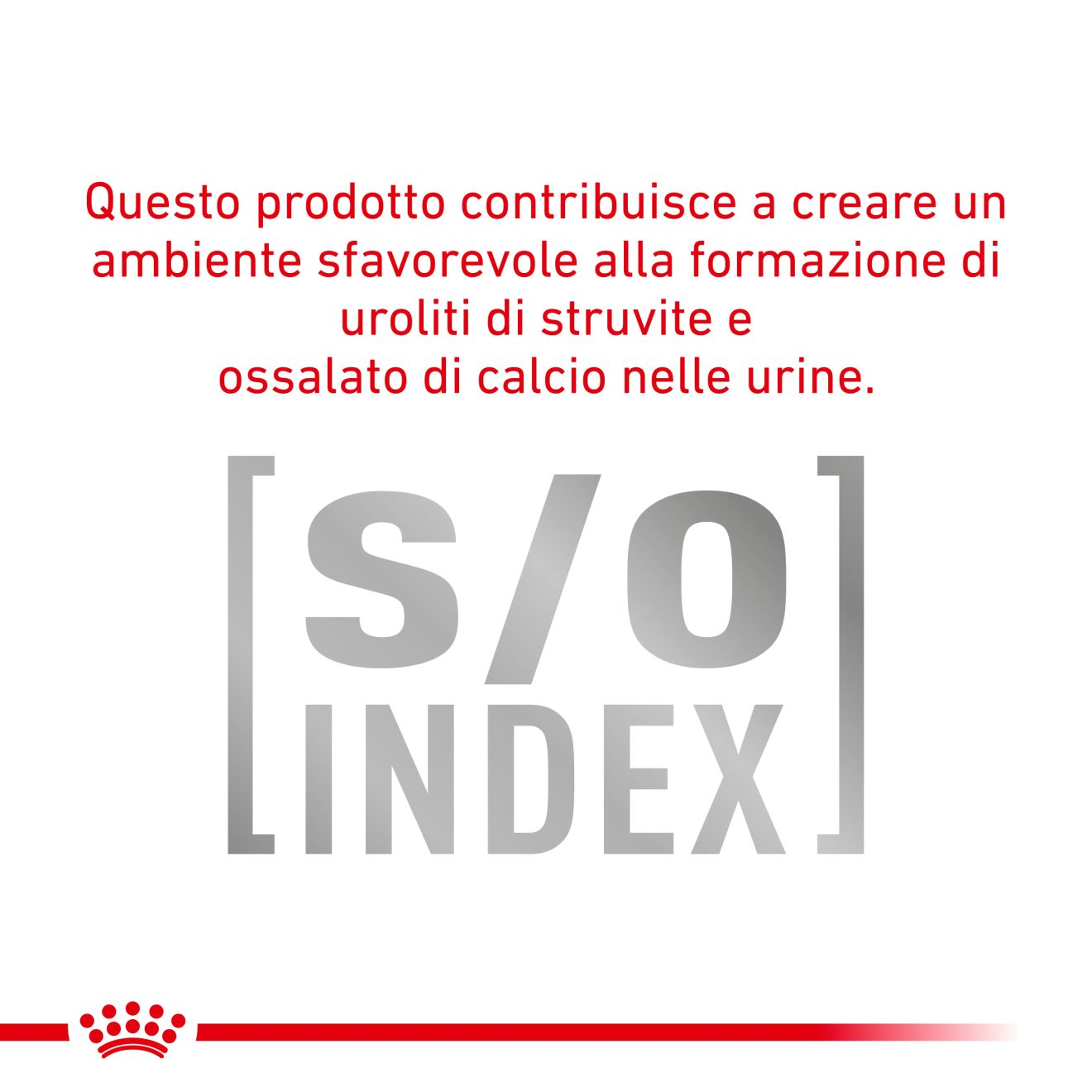 Satiety Weight Management