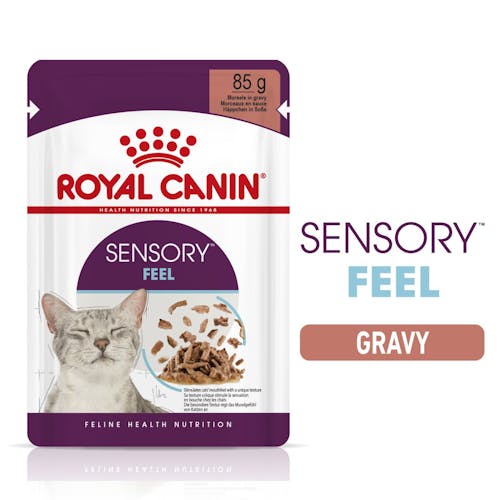 Sensory Feel Morsels In Gravy