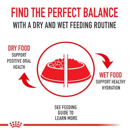 Secondary Image_MixedFeedingBowl_INFO_FIN.jpg