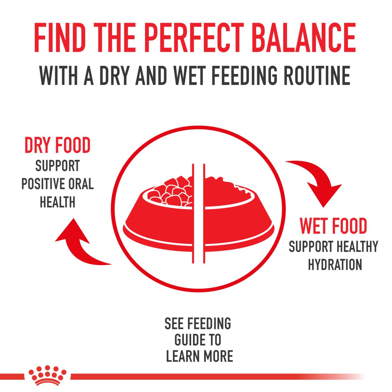 Feeding Chart & Calories Guide for Feeding Your Dog