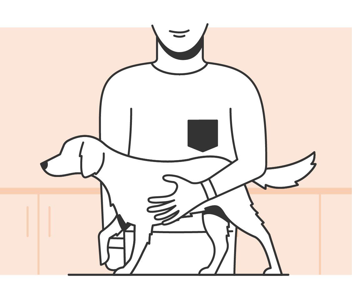 Illustration of a dog body condition assessment