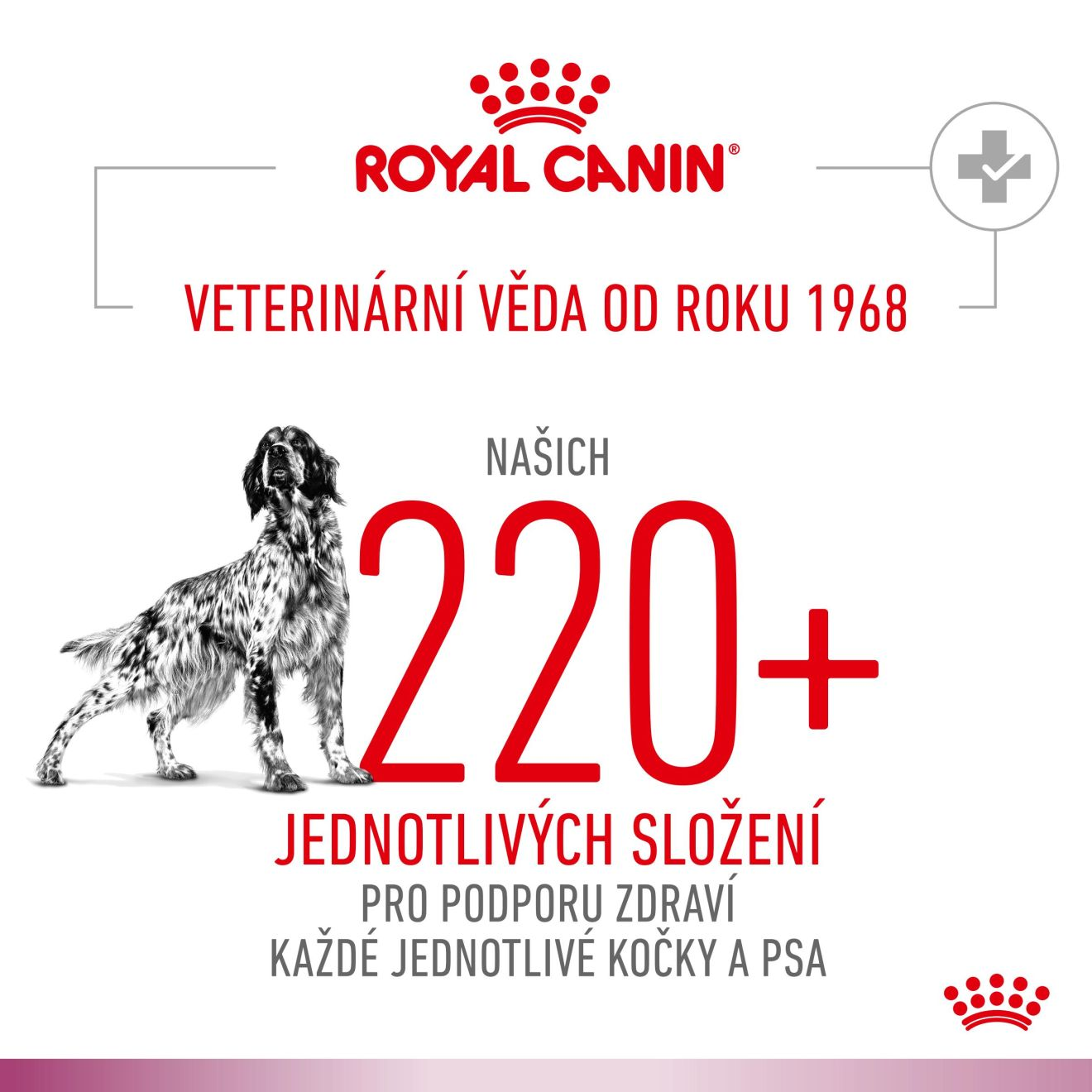 VHN Dog CA Renal - Mobility Loaf Konzerva