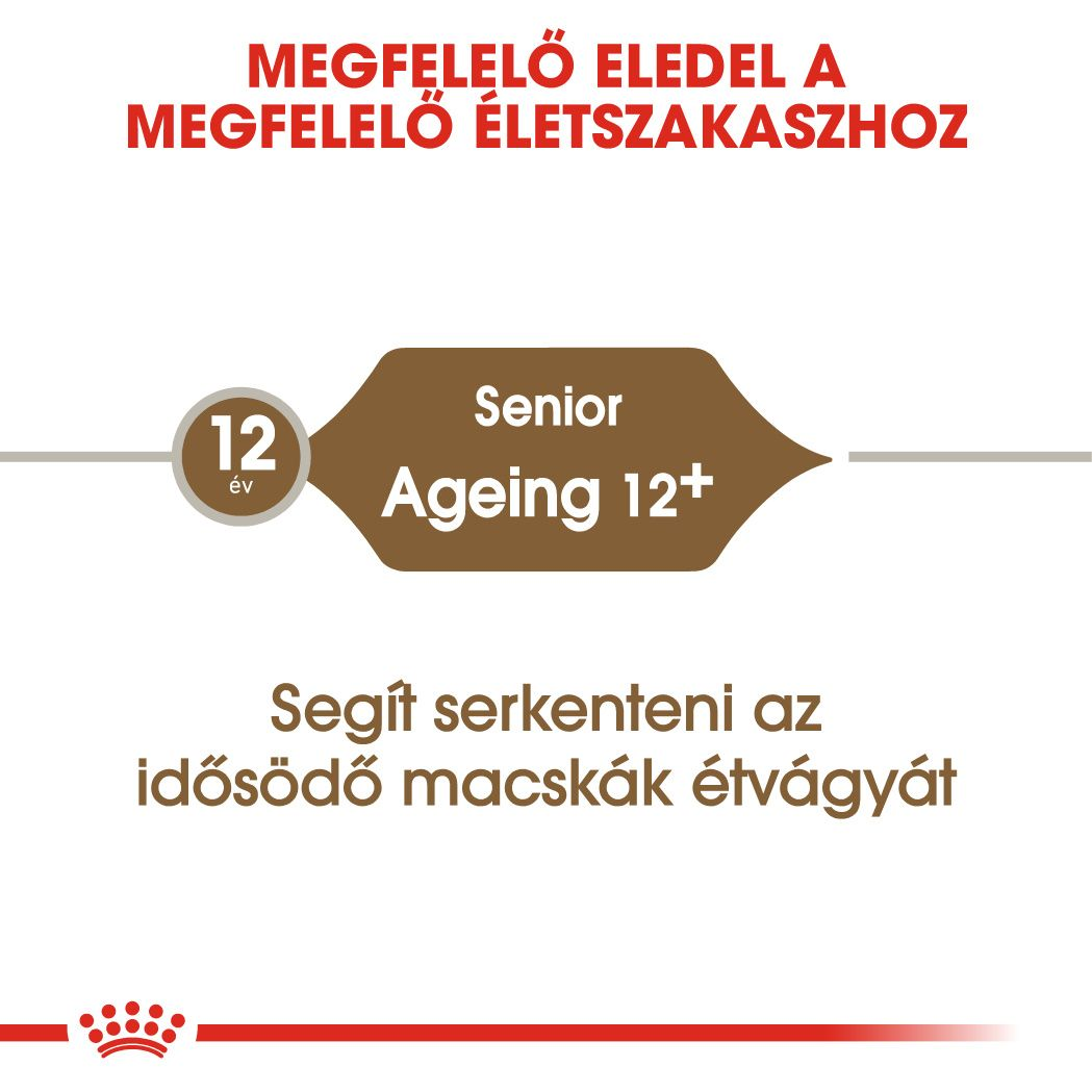 Ageing 12+