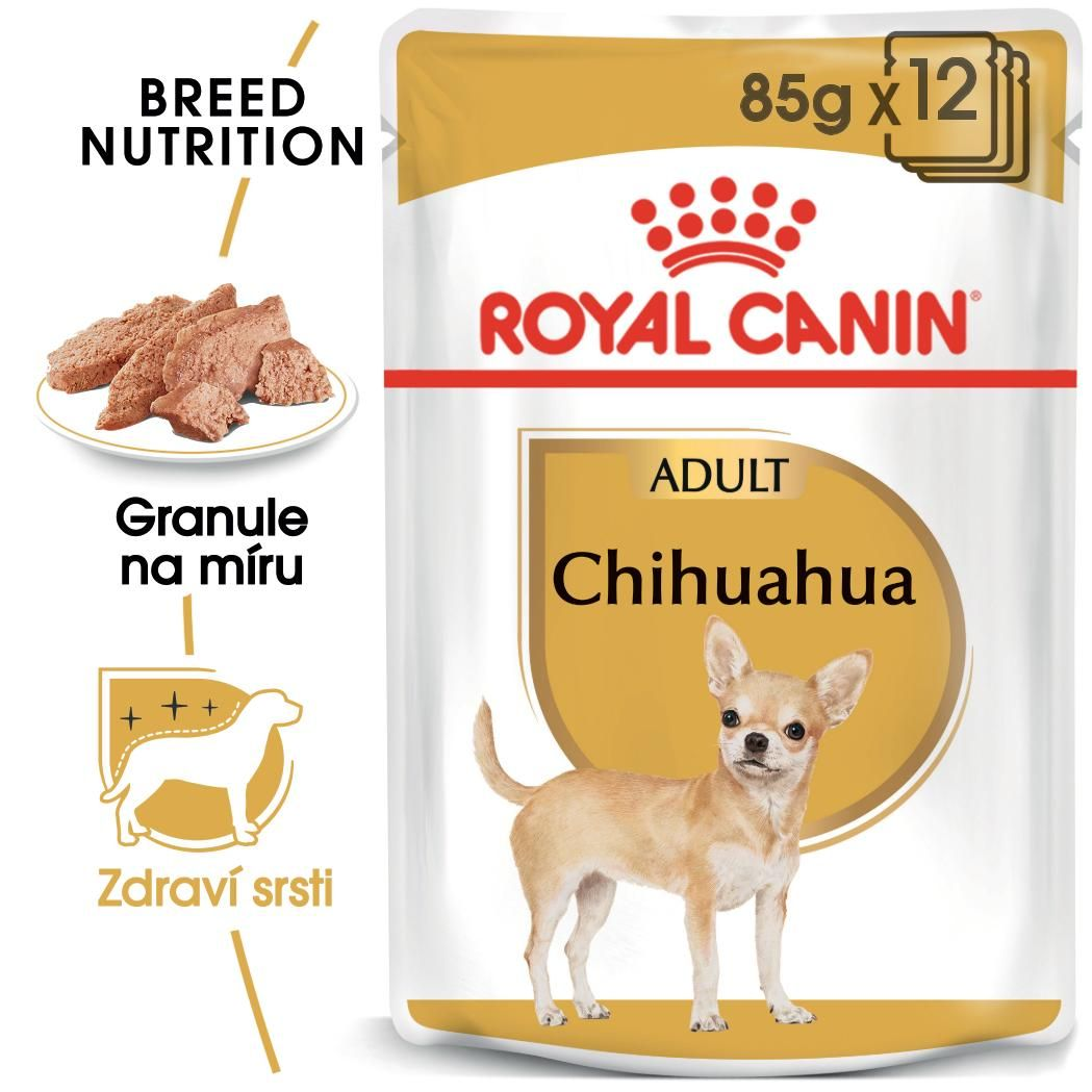 CHIHUAHUA