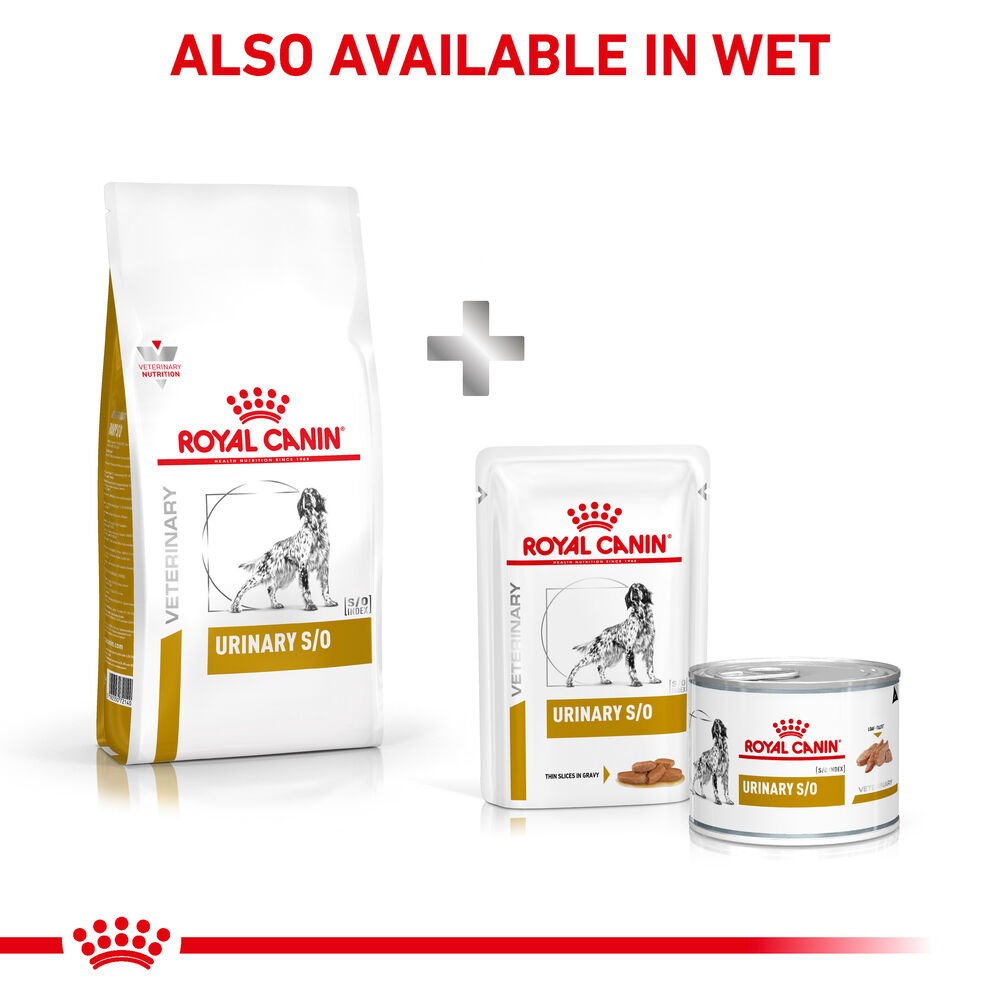 Royal canin vet diet urinary canine sale