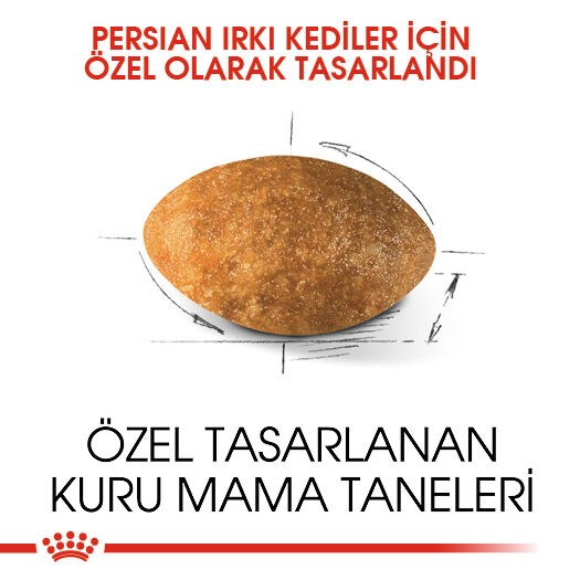 Persian Yetişkin Kedi Kuru Maması