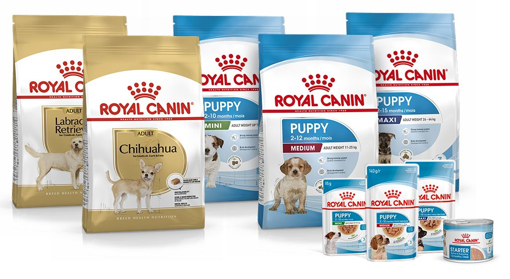 Packshot alimentation pour chiots