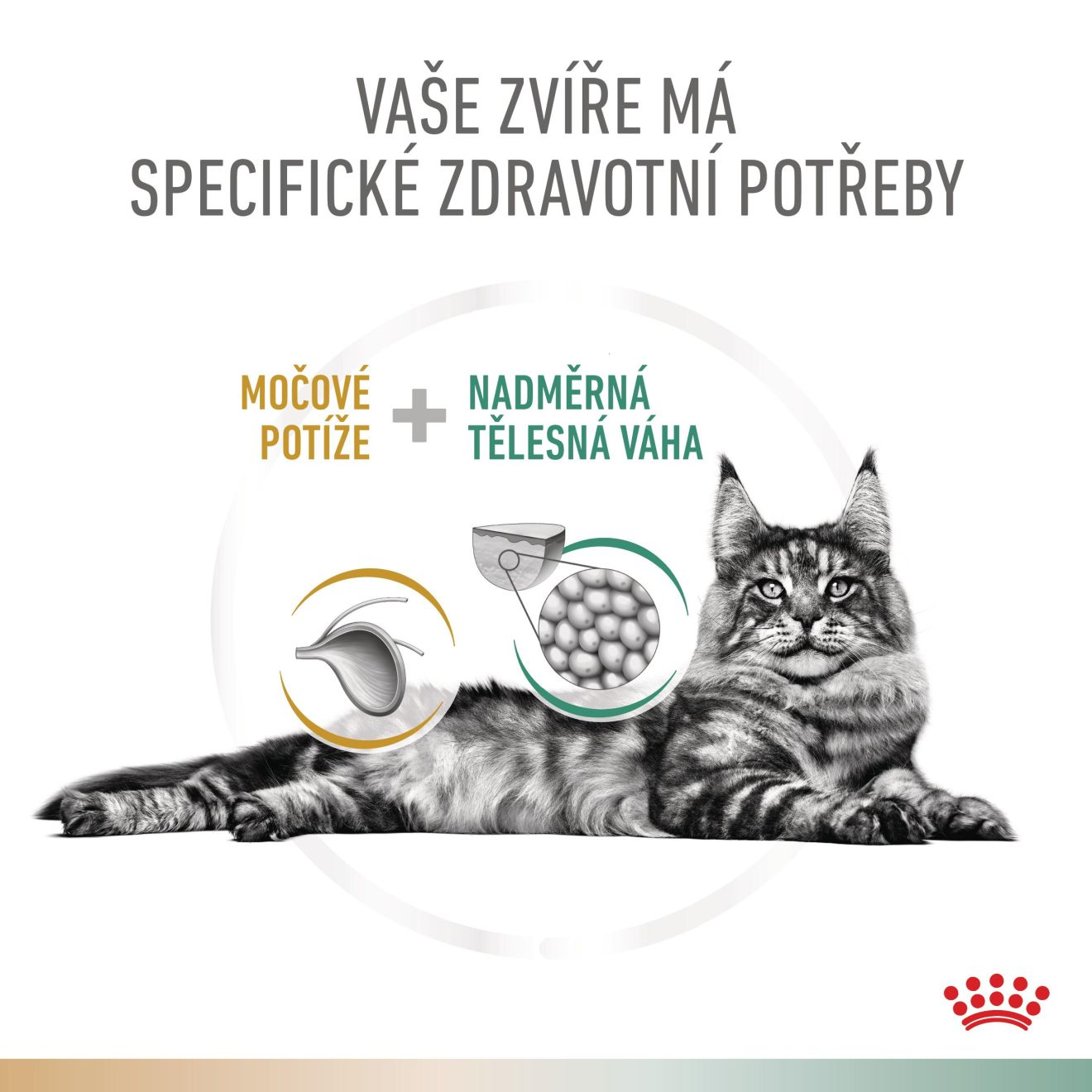 VHN Cat CA Urinary S/O-Satiety