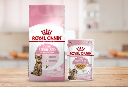 Royal canin deals kitten sterilised