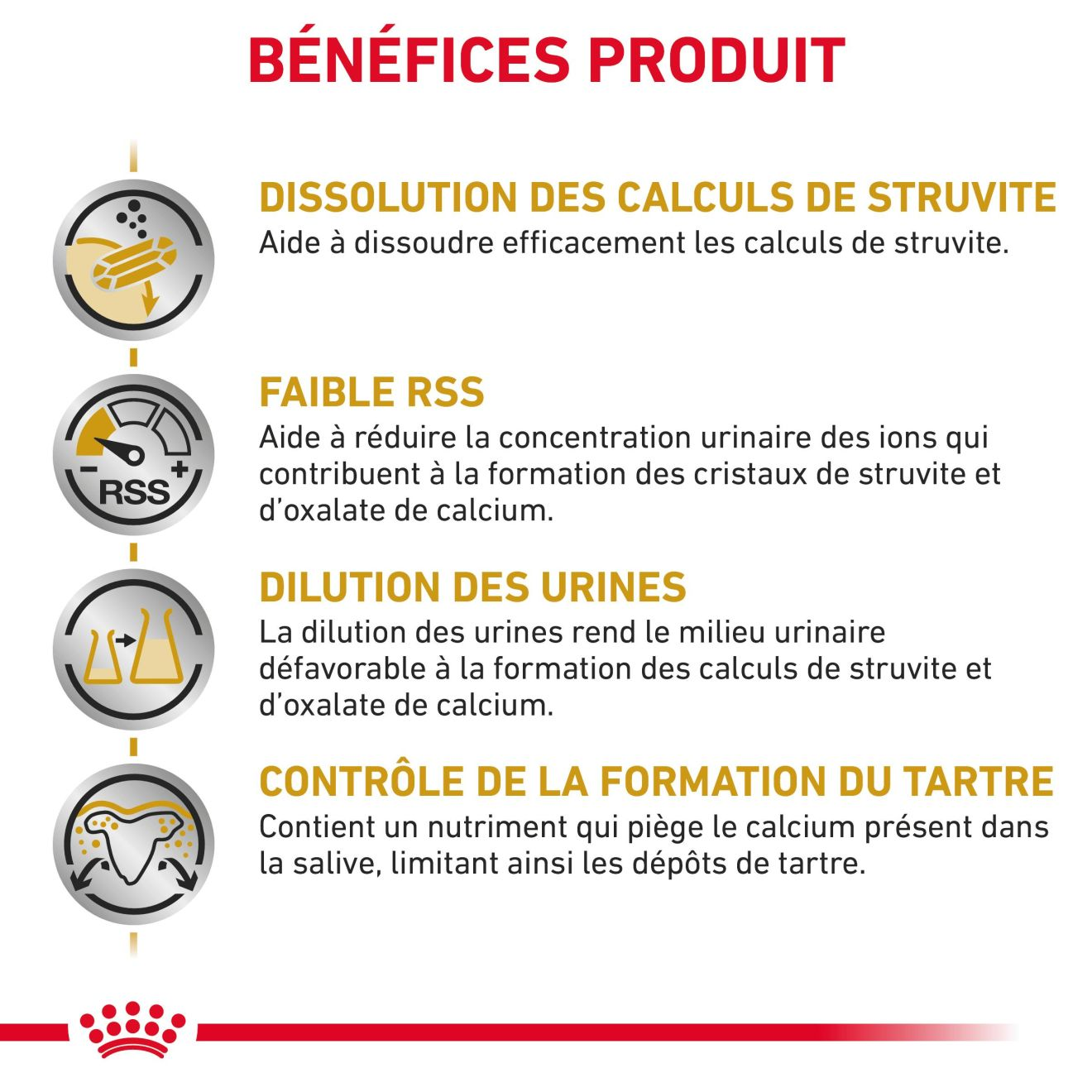  Urinary S/O Small Dog