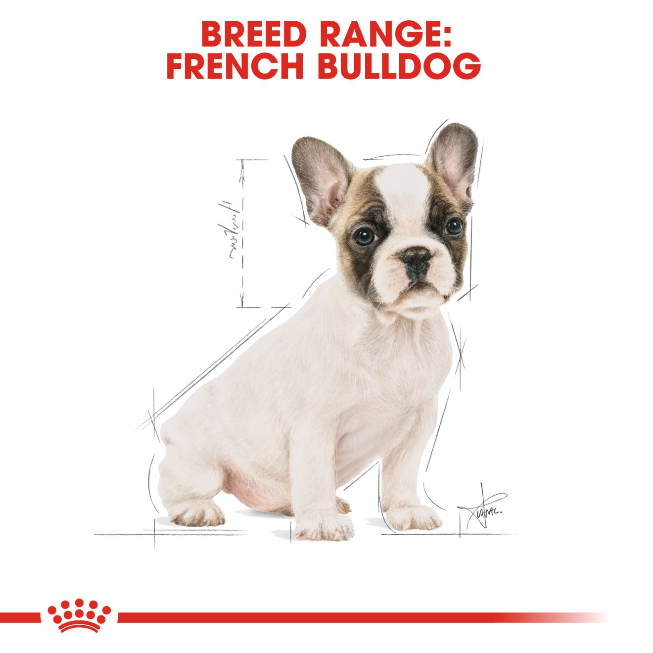 French Bulldog Puppy Dry Royal Canin