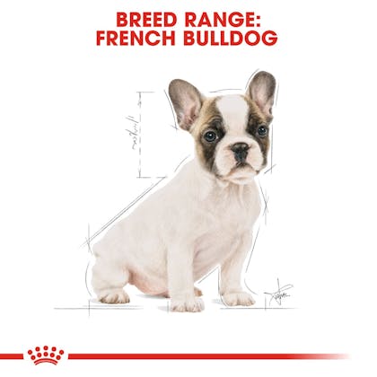 Royal canin french store bulldog puppy ingredients