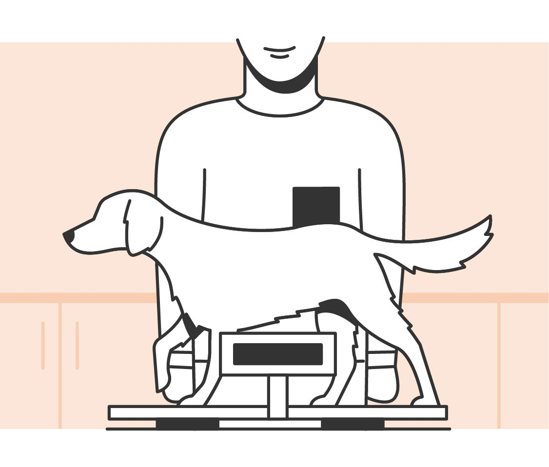 Illustration of a dog body condition assessment