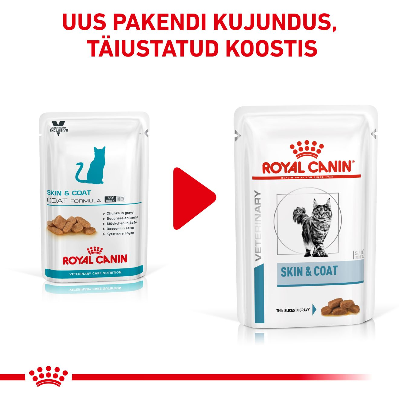 Royal Canin Skin & Coat Cat konserv (õhukesed viilud kastmes)