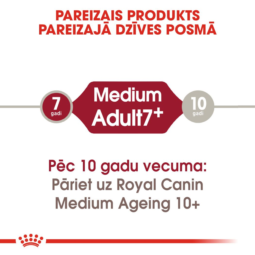 Medium Adult 7+