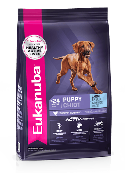 Eukanuba large breed clearance puppy