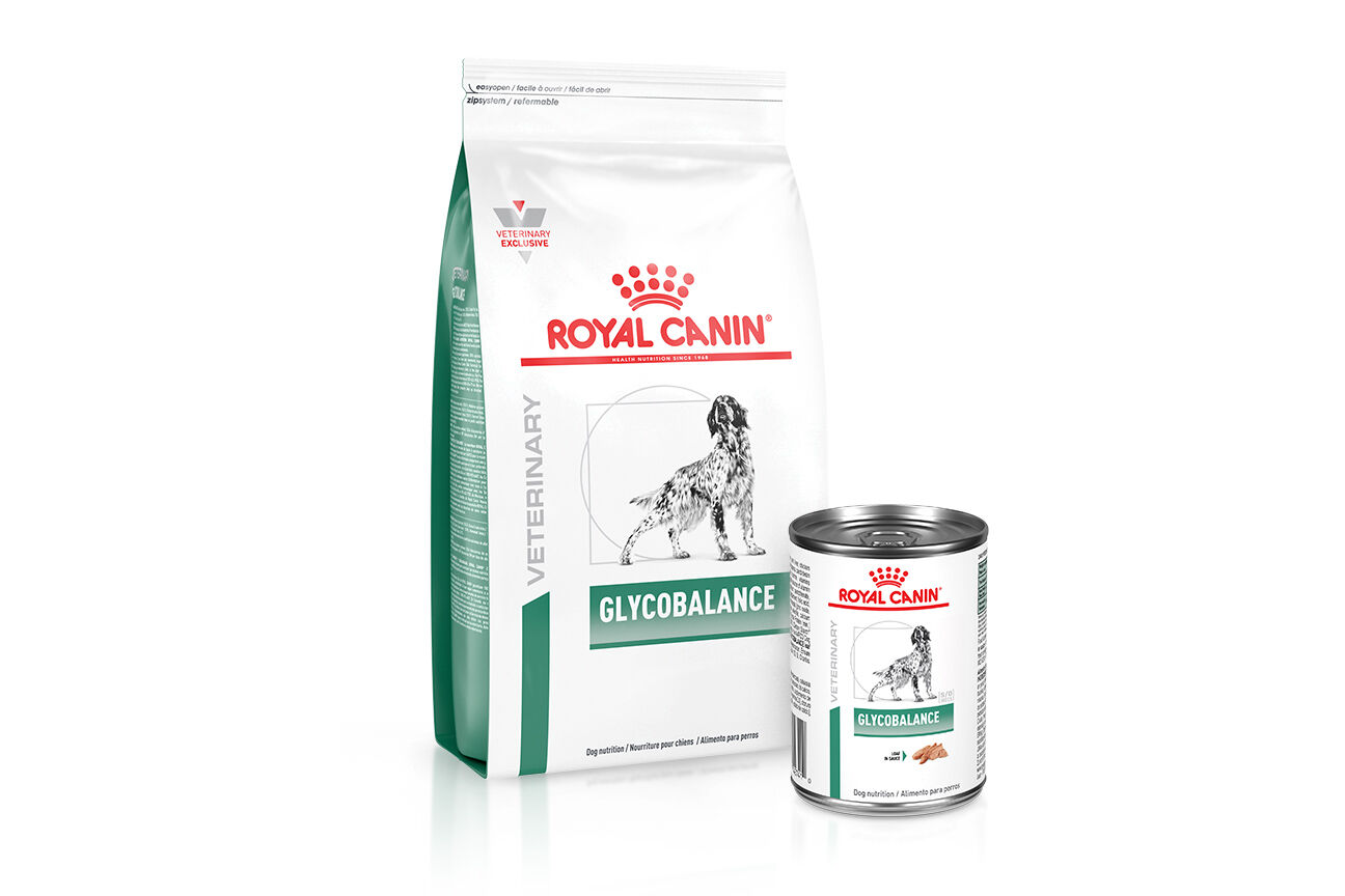 Royal canin diabetic dog food outlet wet