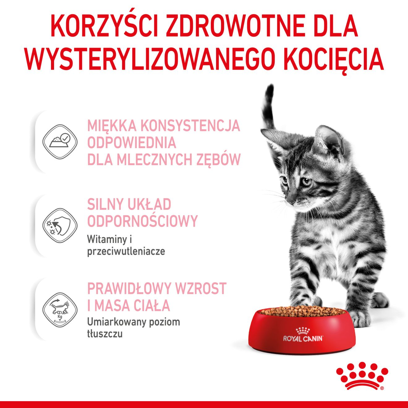 ROYAL CANIN Kitten Sterilised karma mokra w sosie dla kociąt do 12 miesiąca życia, sterylizowanych