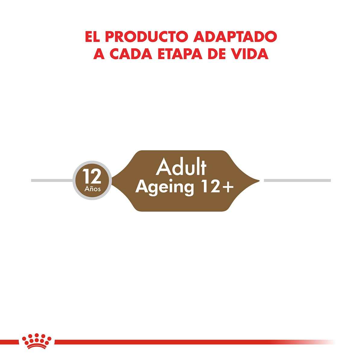 Ageing 12+ | Royal Canin Argentina