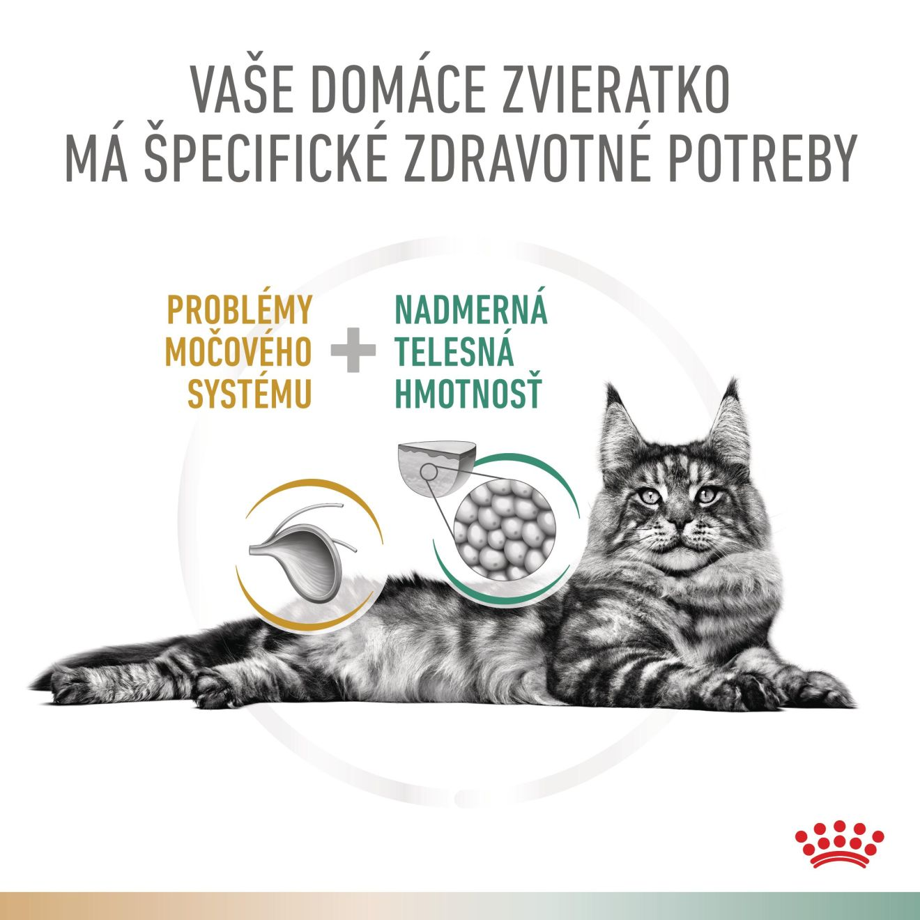 VHN Cat CA Urinary S/O-Satiety