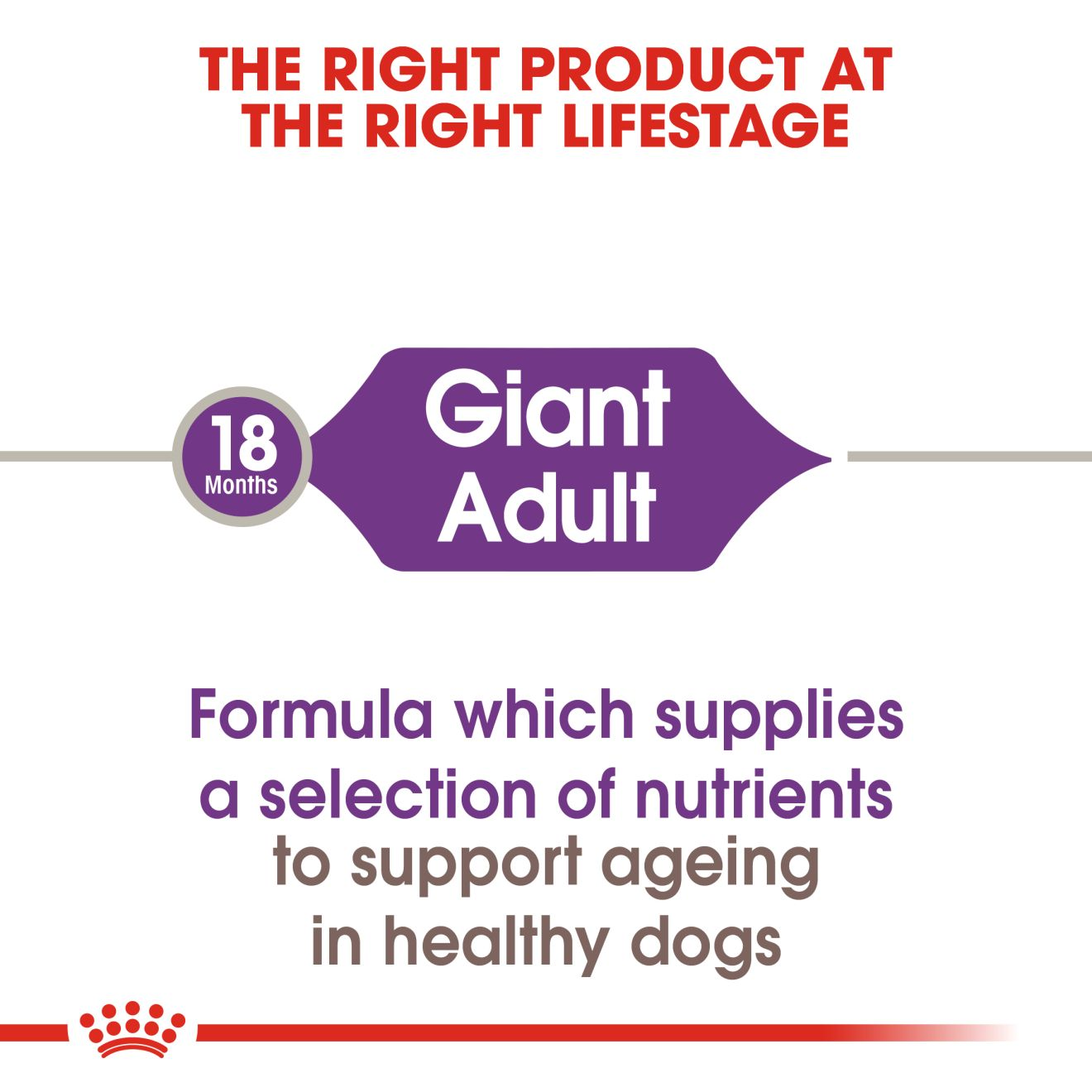 Royal Canin Giant Adult Hundefutter – 18 Kg (15+3 Kg Gratis), Für Große Rassen