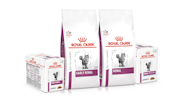 Royal Canin Renal Support Cat Food Sample Pack Store 