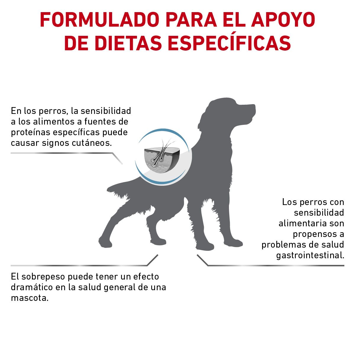 Hydrolyzed Protein Moderate Calorie