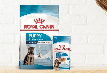 Royal canin 2024 newborn puppy food