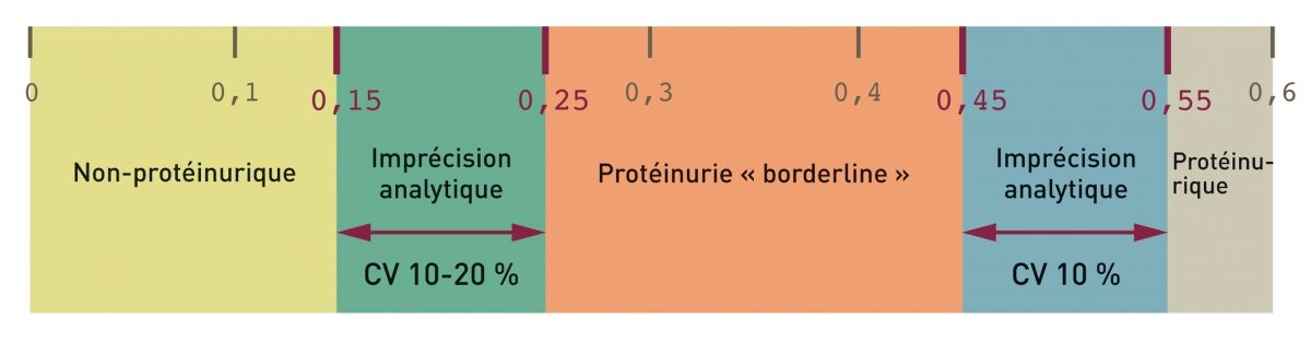Une analyse imprécise du rapport protéine/créatinine de l’urine (RPCU) peut conduire à une interprétation erronée du résultat. Les coefficients de variation du RPCU sont environ de 10-20 % quand le RPCU= 0,2 et autour de 10 % quand le RPCU= 0,5 ( 4 ).