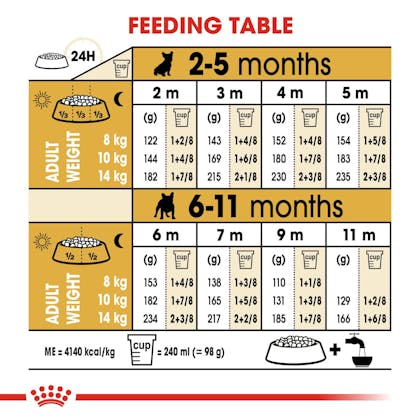 how much food do you feed a puppy french bulldog