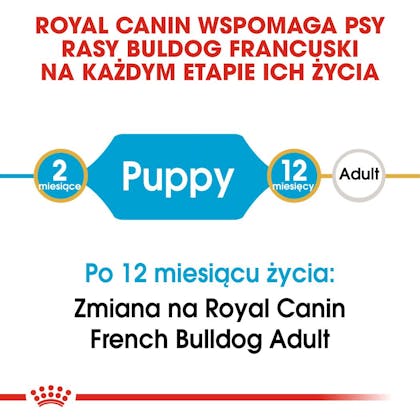 RC-BHN-PuppyFrenchBulldog-CM-EretailKit-1-pl_PL