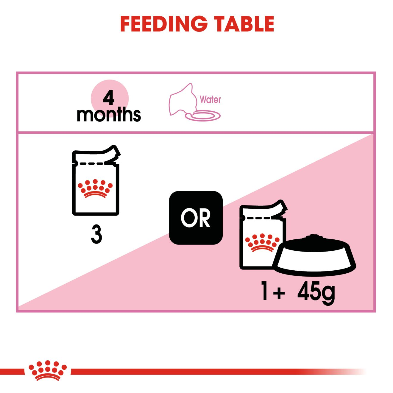 Royal canin kitten shop dry food feeding guide