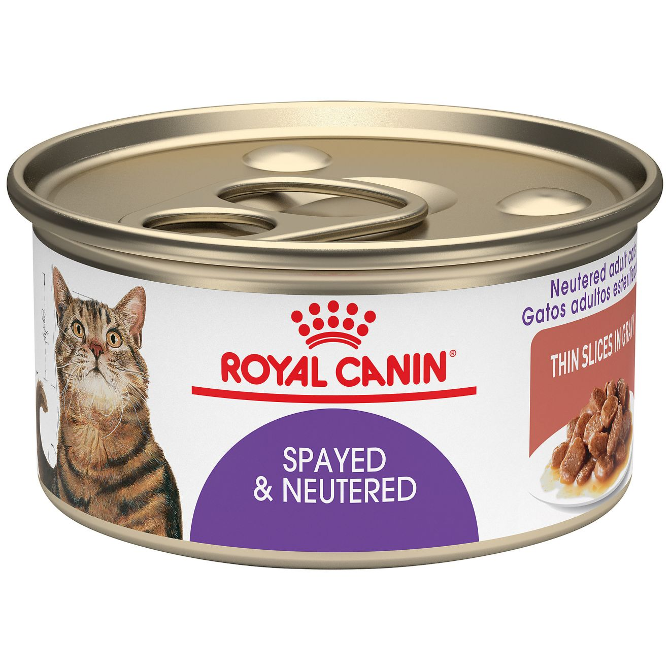 Cat food for old skinny cheap cats