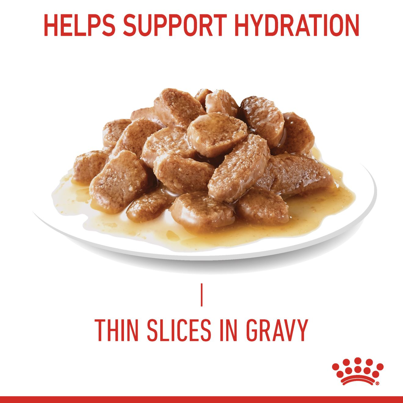 Digestive Care Thin Slices In Gravy