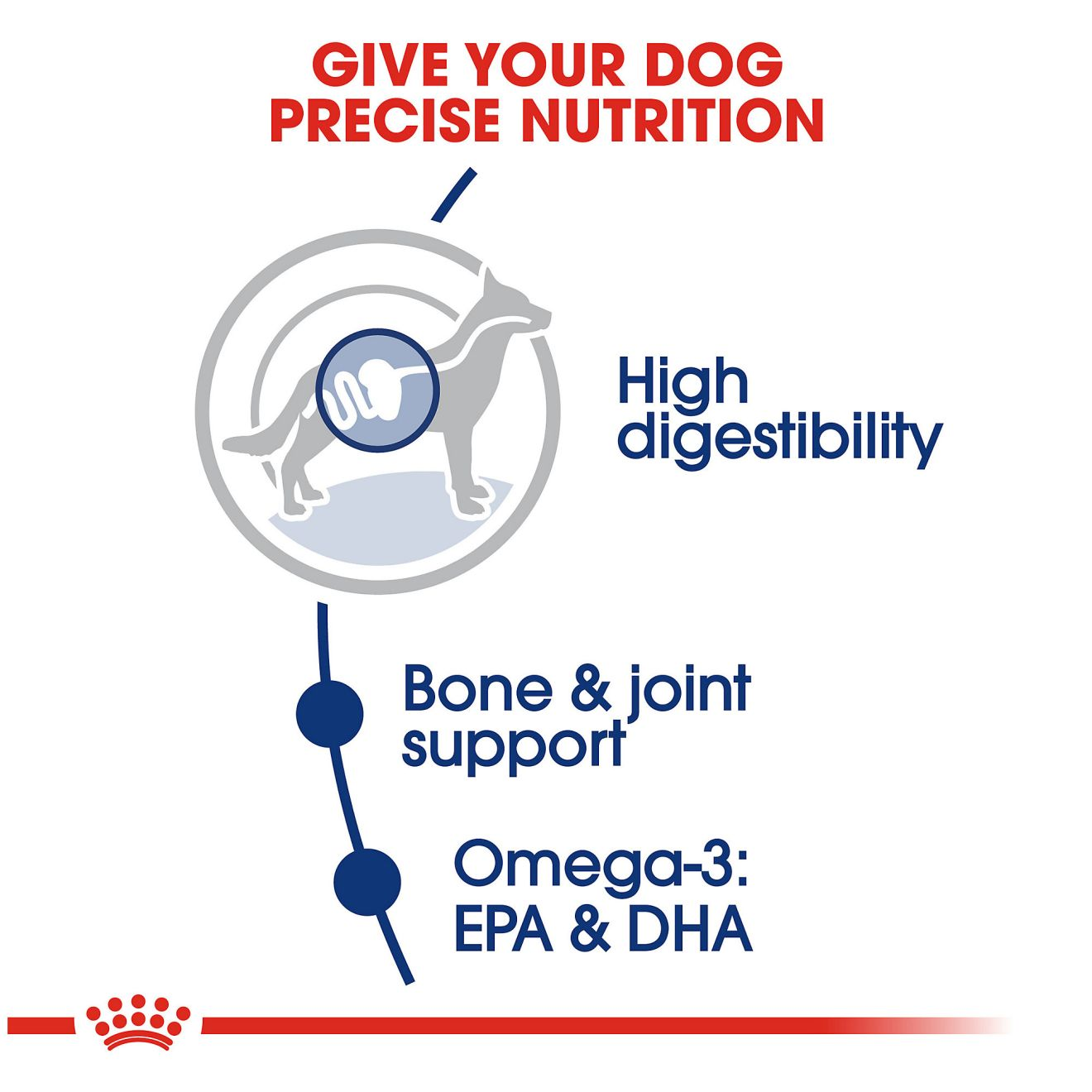 High digestibility 2025 dog food