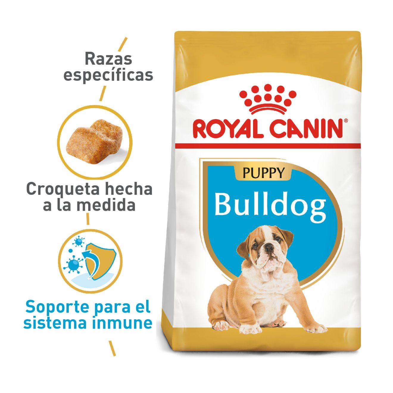 Bulldog Inglés Cachorro
