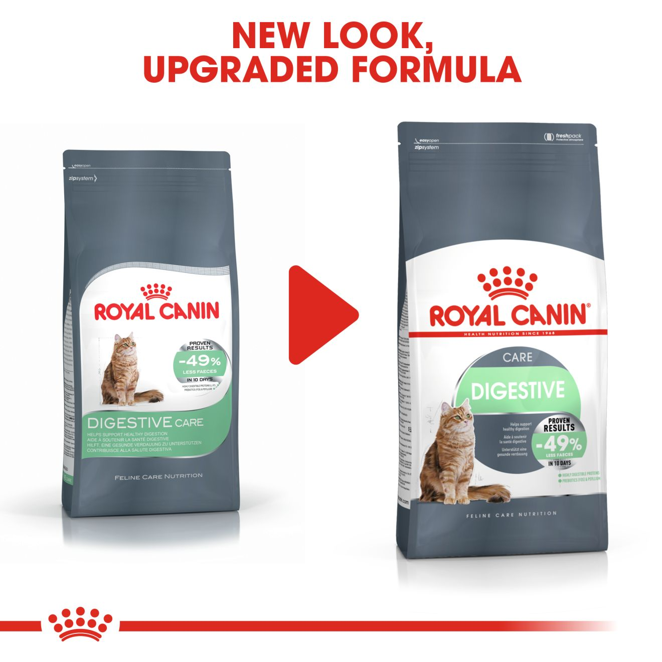 Digestive care royal canin cat hotsell