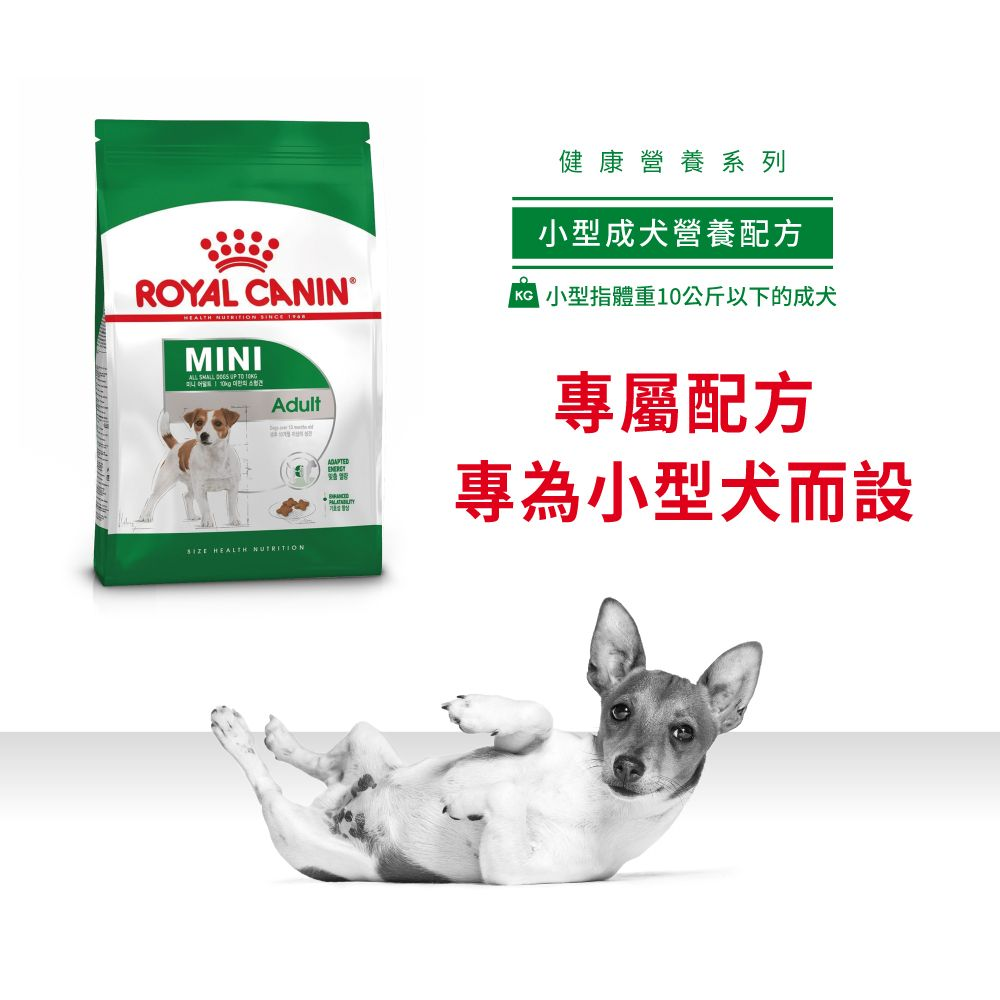 SHN 小型成犬營養配方