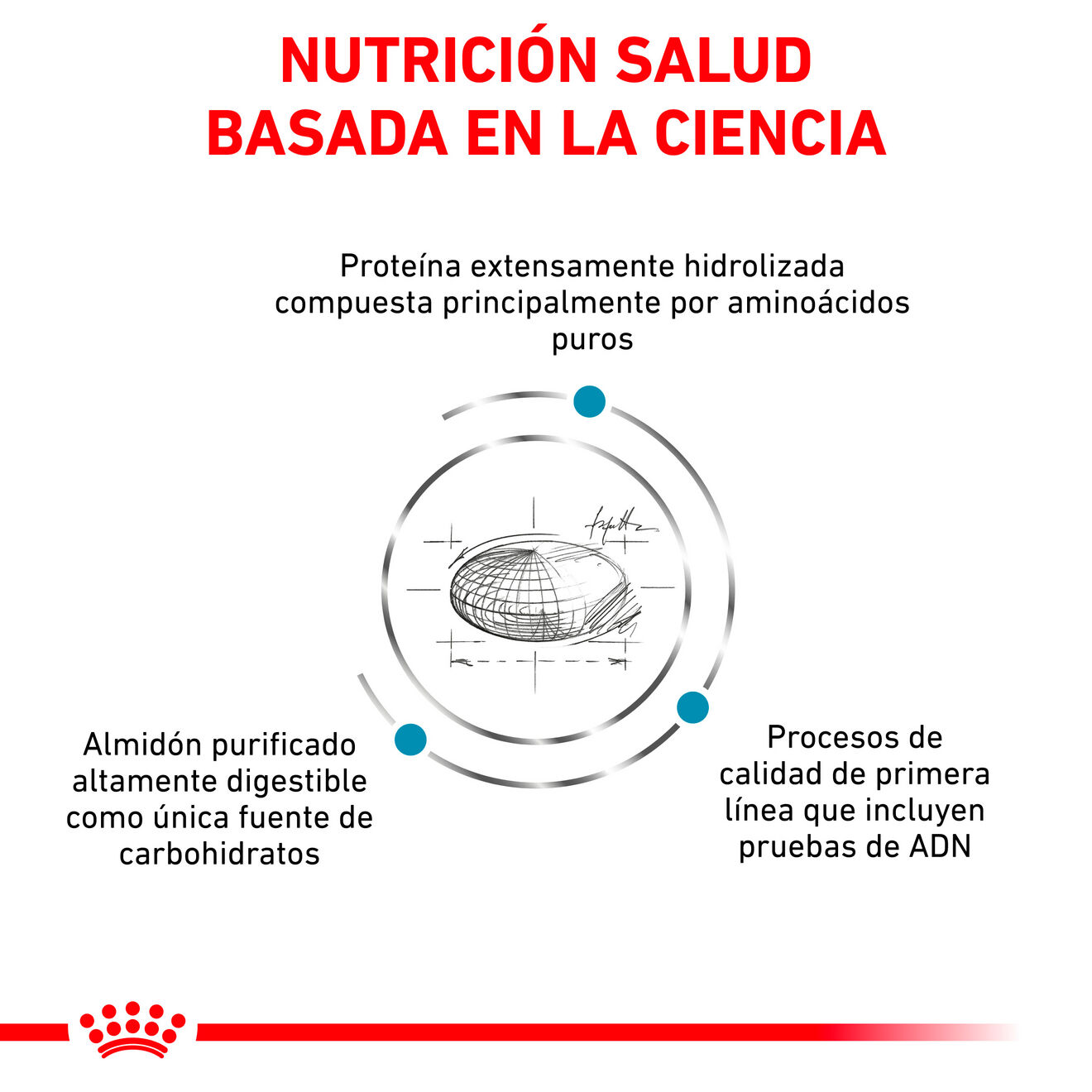 Anallergenic | Royal Canin ES