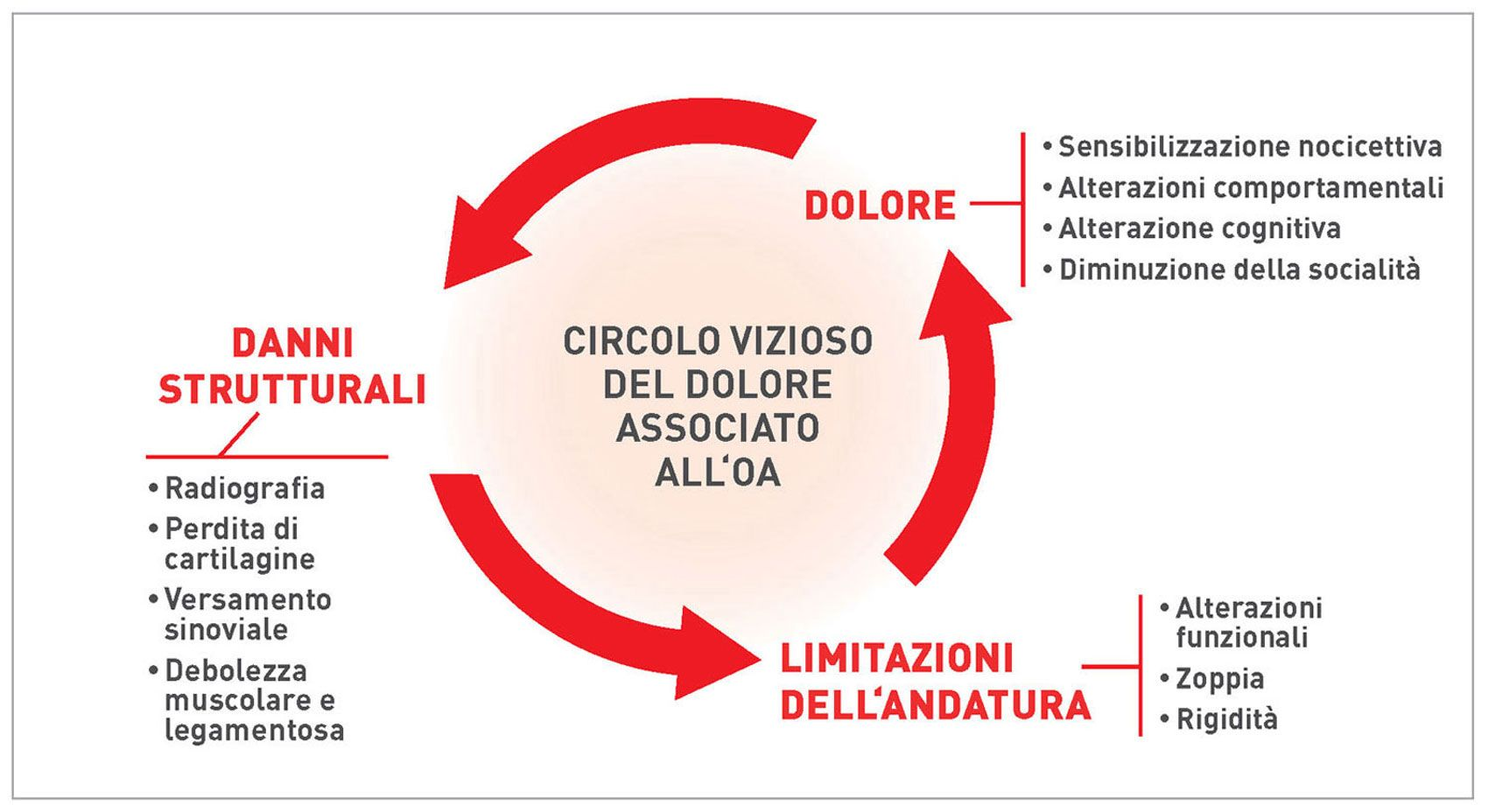Capire il dolore nell’osteoartrite