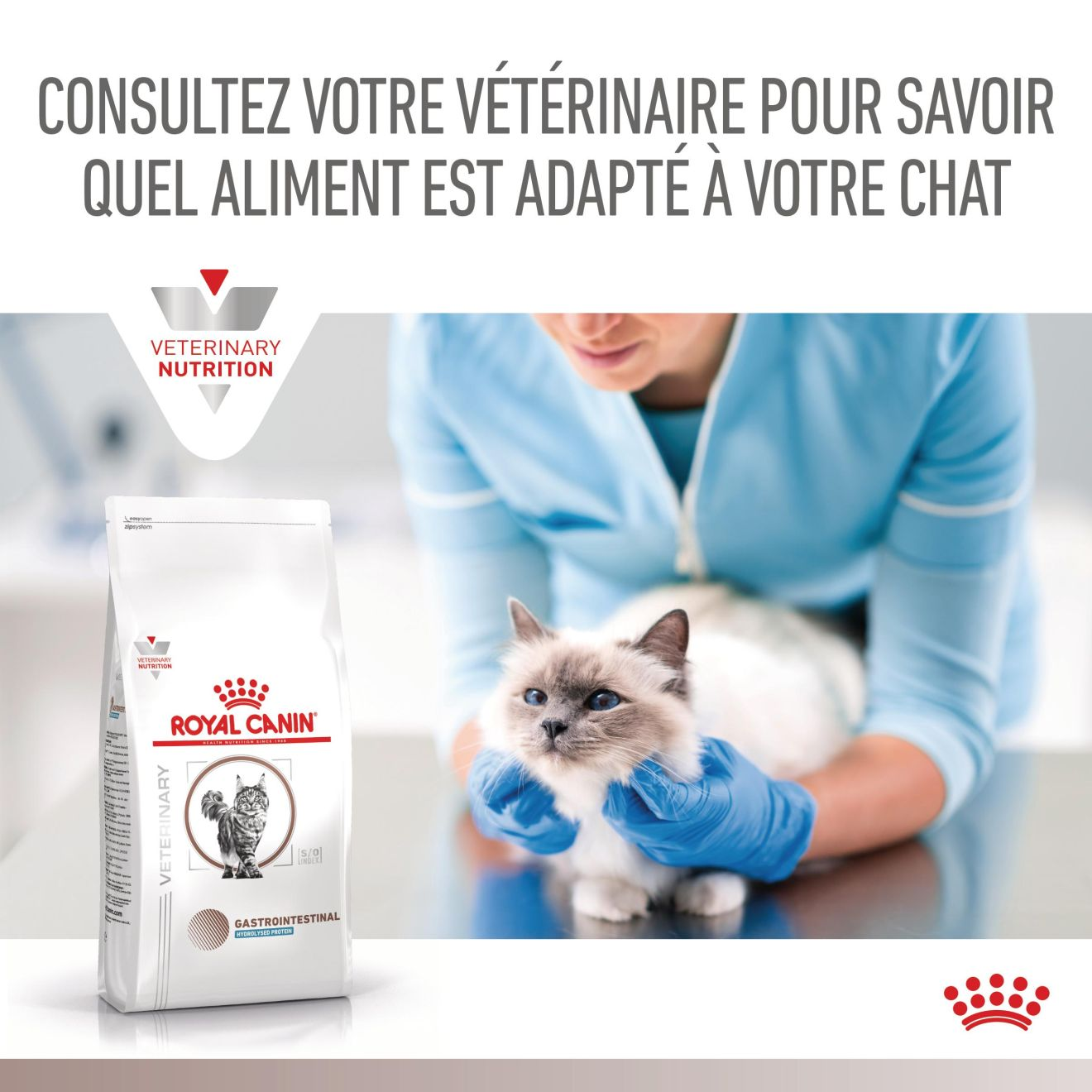 Gastrointestinal + Hydrolysed Protein Chat 