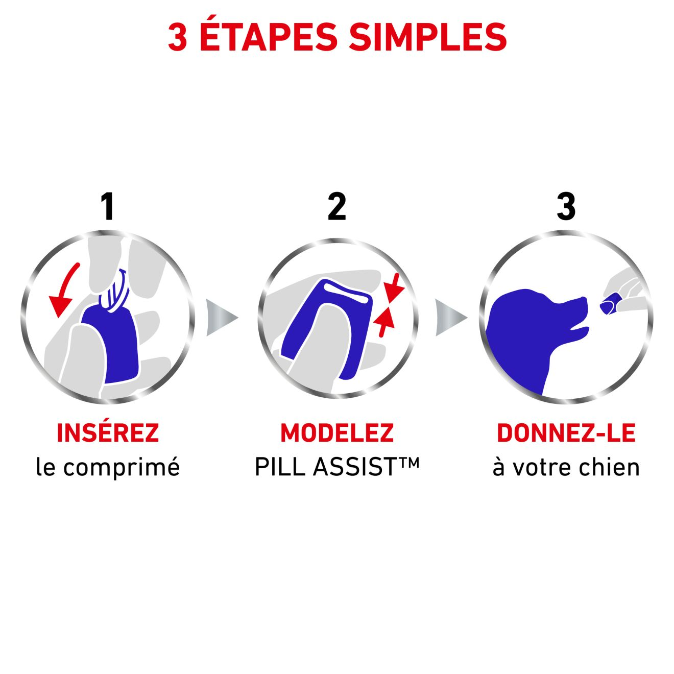 Pill   Assist Small Dog