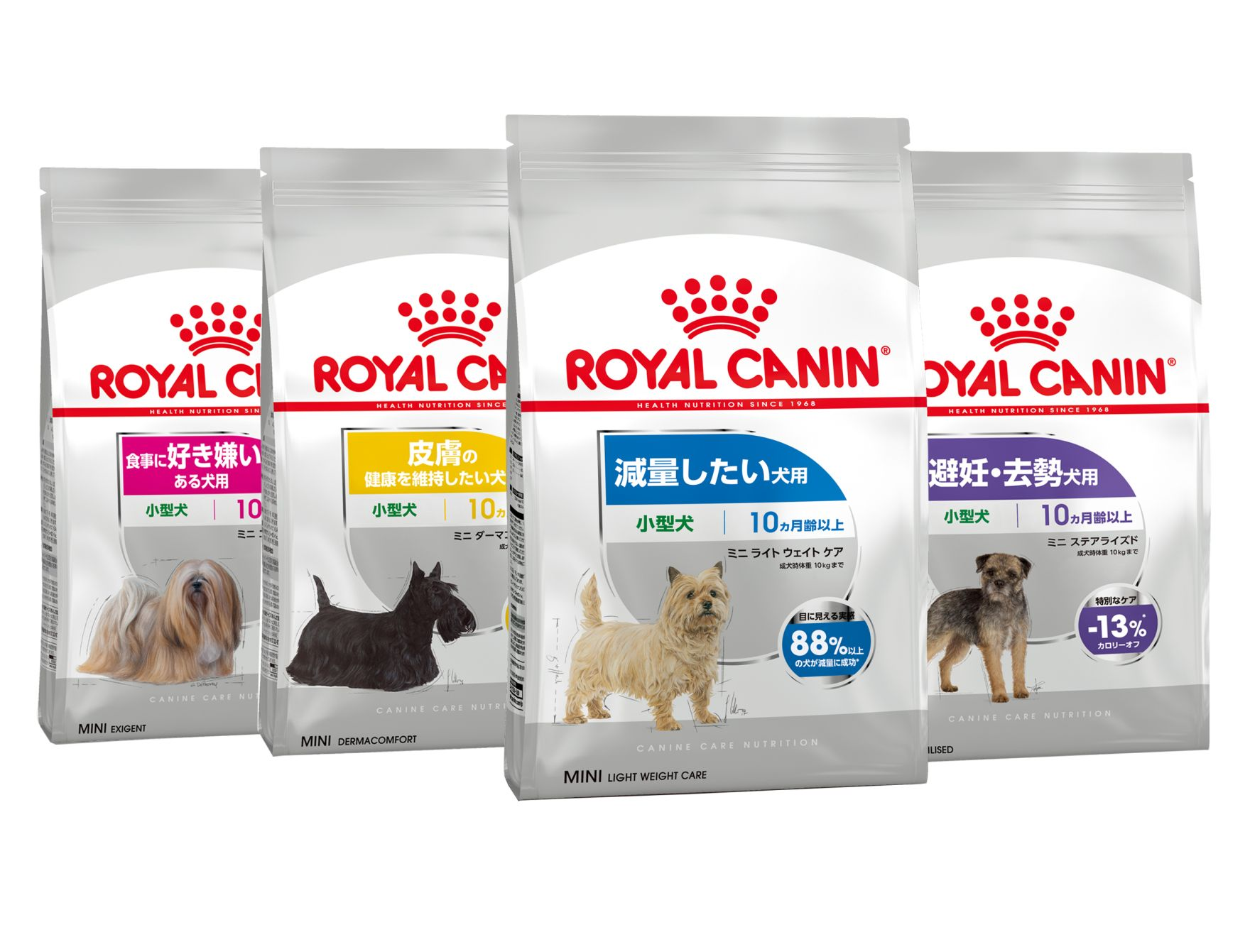 テイラーメイドの栄養バランス | Royal Canin JP