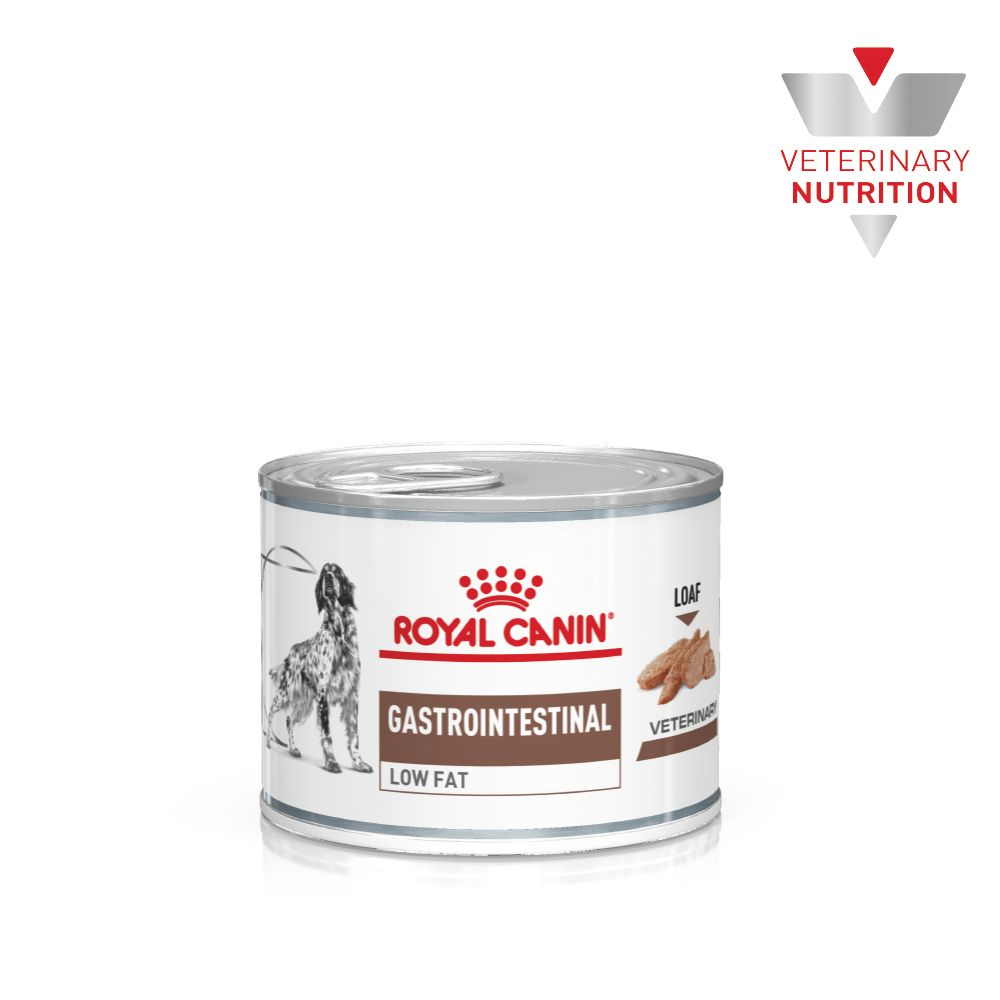 Royal canin veterinary gastrointestinal best sale low fat dog food